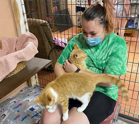 A student plays with two cats at the SPCA